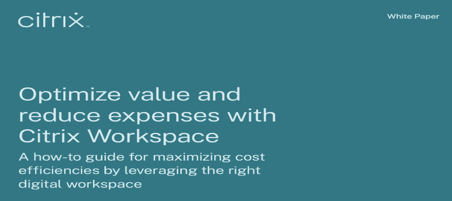 Citrix Workspace Helps You Maximize Value While Lowering Costs