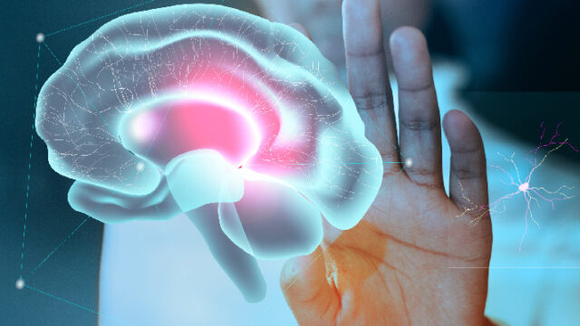 Israeli Tech Startup BrainQ Raises $40 Million