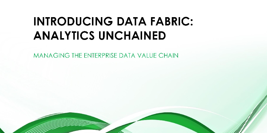 Managing the Enterprise Data Value Chain