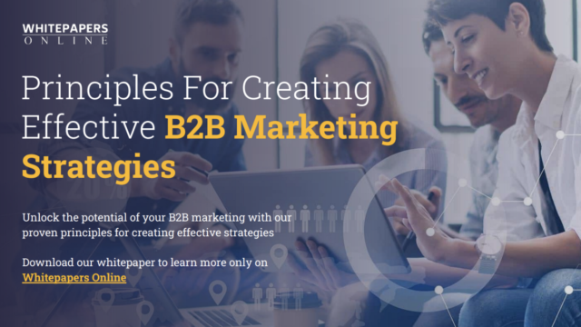 Principles For Creating Effective B2B Marketing Strategies