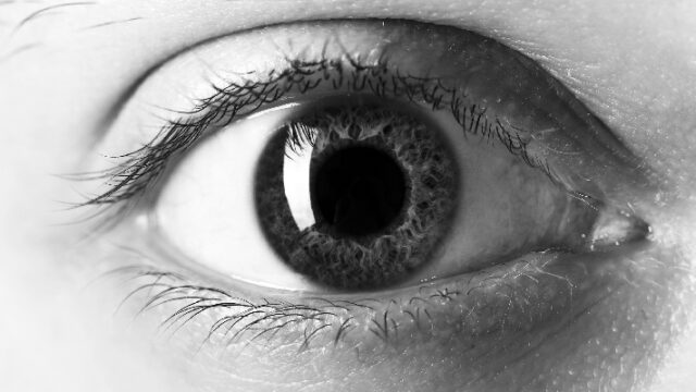 Privacy vs Child Safety: Understanding Apple's New Update