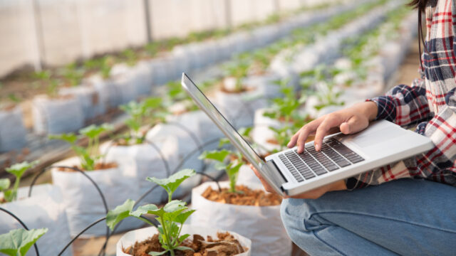 The Rise of Agrifintech