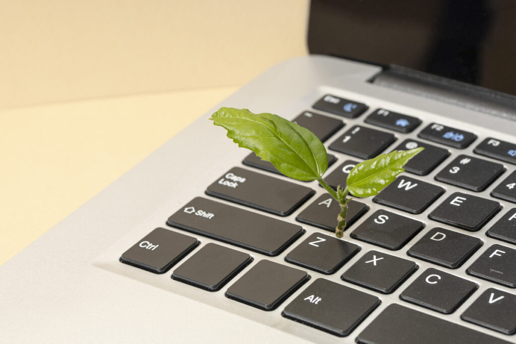 The Role of IT in Sustainability: Green IT Solutions