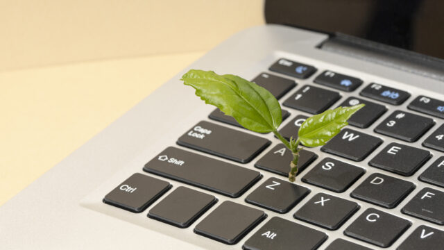The Role of IT in Sustainability: Green IT Solutions